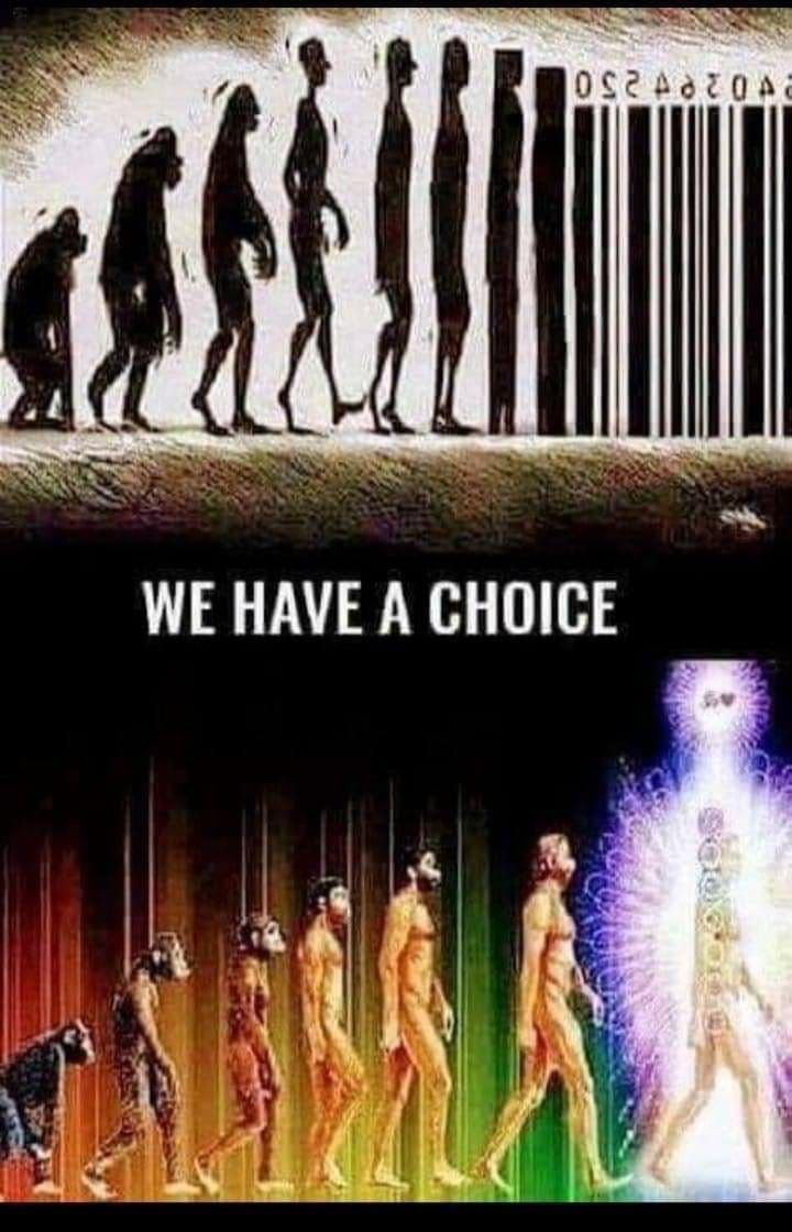 choice